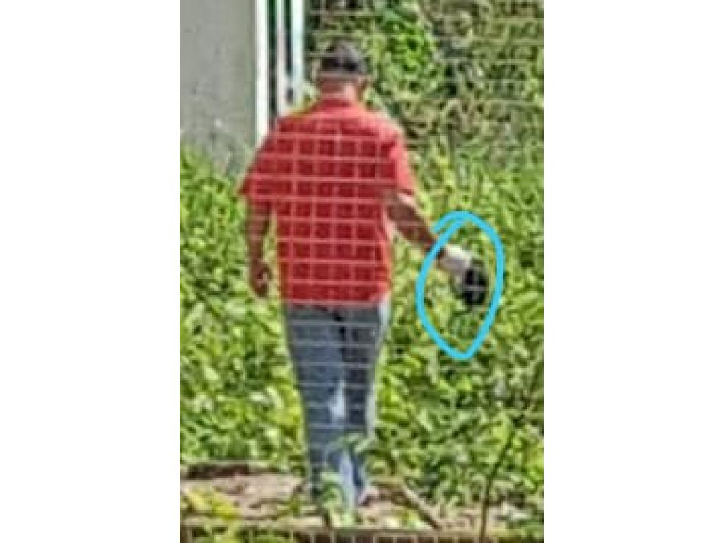 URGENTE: Rolim de Moura  mais um descaso e vergonhas no ( CCZ ) Centro de controle de zoonoses mal administrado por servidores municipais que ainda não sabe o que está fazendo ali 